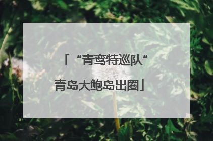 “青鸾特巡队”青岛大鲍岛出圈