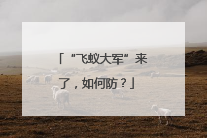 “飞蚁大军”来了，如何防？