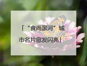 “食尚漯河”城市名片愈发闪亮