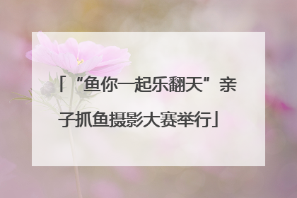 “鱼你一起乐翻天”亲子抓鱼摄影大赛举行