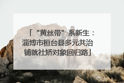 “黄丝带”系新生：淄博市桓台县多元共治铺就社矫对象回归路