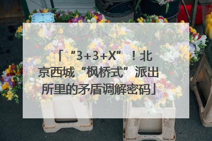 “3+3+X”！北京西城“枫桥式”派出所里的矛盾调解密码