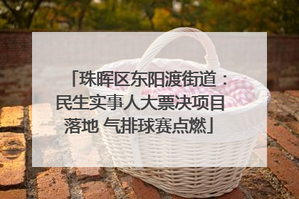 珠晖区东阳渡街道：民生实事人大票决项目落地 气排球赛点燃