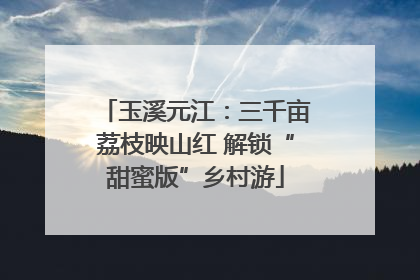 玉溪元江：三千亩荔枝映山红 解锁“甜蜜版”乡村游