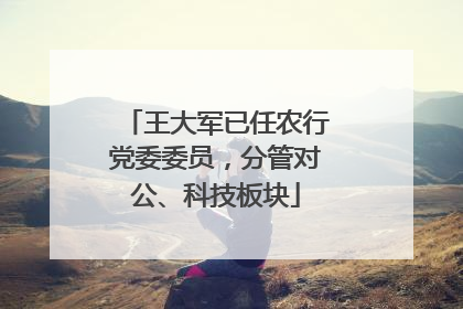 王大军已任农行党委委员，分管对公、科技板块