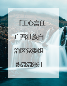 王心富任广西壮族自治区党委组织部部长