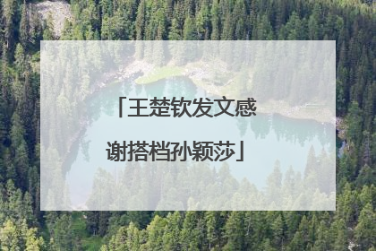 王楚钦发文感谢搭档孙颖莎