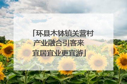 环县木钵镇关营村 产业融合引客来 宜居宜业更宜游