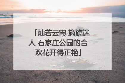 灿若云霞 旖旎迷人 石家庄公园的合欢花开得正艳