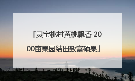 灵宝桃村黄桃飘香 2000亩果园结出致富硕果