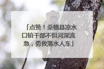 点赞!桑植县凉水口镇干部不惧河深流急,勇救落水人车