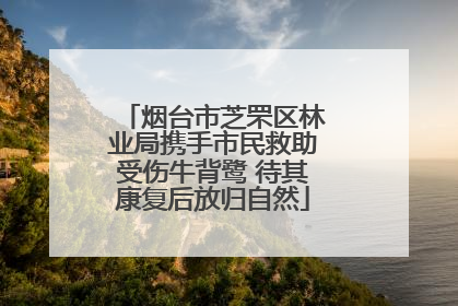 烟台市芝罘区林业局携手市民救助受伤牛背鹭 待其康复后放归自然