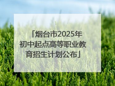 烟台市2025年初中起点高等职业教育招生计划公布