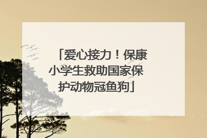 爱心接力！保康小学生救助国家保护动物冠鱼狗