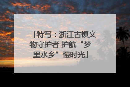 特写：浙江古镇文物守护者 护航“梦里水乡”慢时光