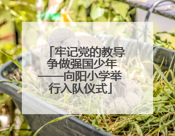 牢记党的教导 争做强国少年——向阳小学举行入队仪式
