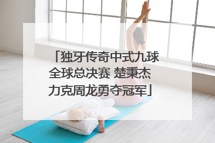 独牙传奇中式九球全球总决赛 楚秉杰力克周龙勇夺冠军