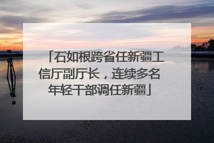 石如根跨省任新疆工信厅副厅长，连续多名年轻干部调任新疆