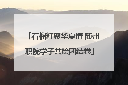石榴籽聚华夏情 随州职院学子共绘团结卷