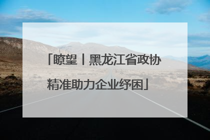 瞭望丨黑龙江省政协精准助力企业纾困