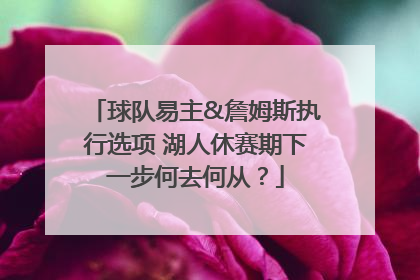 球队易主&詹姆斯执行选项 湖人休赛期下一步何去何从？