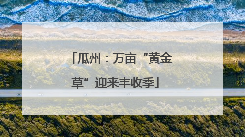 瓜州：万亩“黄金草”迎来丰收季