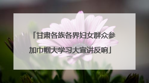 甘肃各族各界妇女群众参加巾帼大学习大宣讲反响