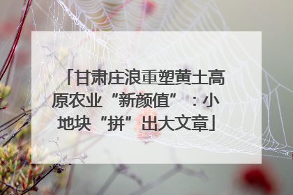 甘肃庄浪重塑黄土高原农业“新颜值”：小地块“拼”出大文章