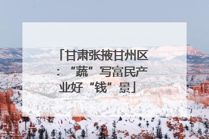 甘肃张掖甘州区：“蔬”写富民产业好“钱”景