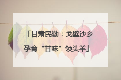 甘肃民勤：戈壁沙乡孕育“甘味”领头羊