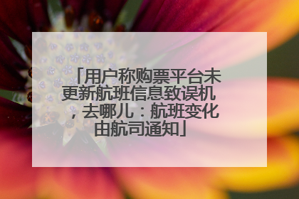 用户称购票平台未更新航班信息致误机，去哪儿：航班变化由航司通知