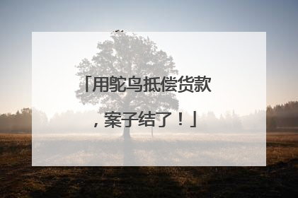 用鸵鸟抵偿货款，案子结了！