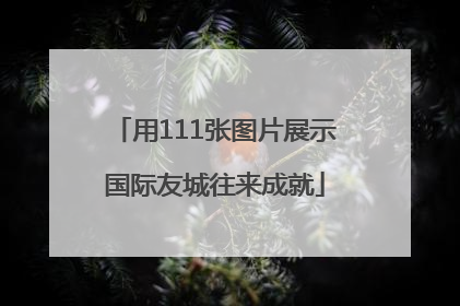 用111张图片展示国际友城往来成就