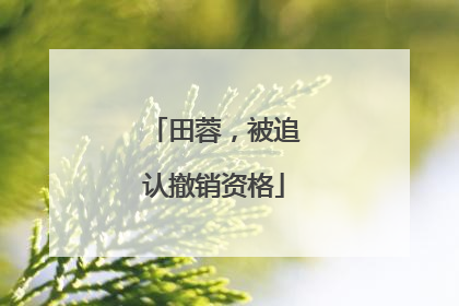 田蓉，被追认撤销资格