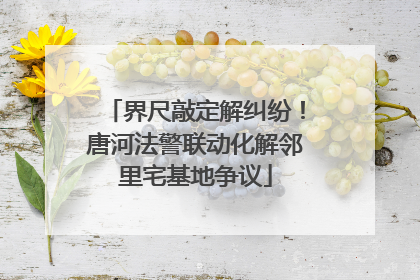 界尺敲定解纠纷！唐河法警联动化解邻里宅基地争议