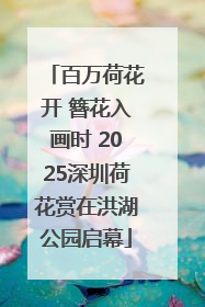 百万荷花开 簪花入画时 2025深圳荷花赏在洪湖公园启幕