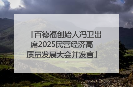 百德福创始人冯卫出席2025民营经济高质量发展大会并发言