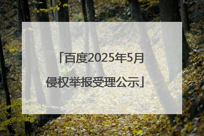 百度2025年5月侵权举报受理公示