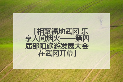 相聚福地武冈 乐享人间烟火——第四届邵阳旅游发展大会在武冈开幕