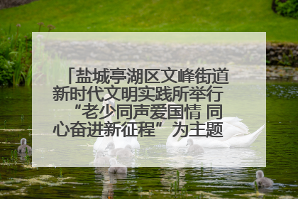 盐城亭湖区文峰街道新时代文明实践所举行“老少同声爱国情 同心奋进新征程”为主题的红色文化活动