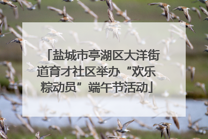 盐城市亭湖区大洋街道育才社区举办“欢乐粽动员”端午节活动