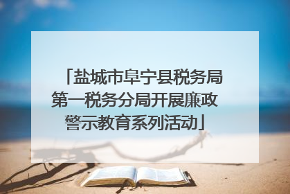 盐城市阜宁县税务局第一税务分局开展廉政警示教育系列活动