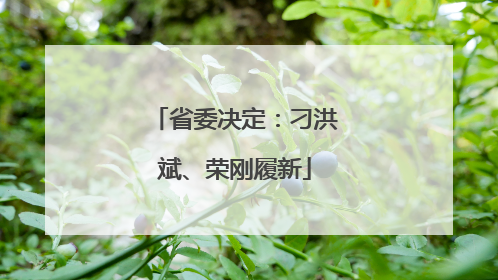 省委决定：刁洪斌、荣刚履新