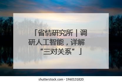 省情研究所｜调研人工智能，详解“三对关系”