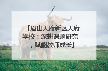 眉山天府新区天府学校：深耕课题研究，赋能教师成长
