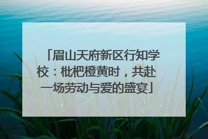 眉山天府新区行知学校：枇杷橙黄时，共赴一场劳动与爱的盛宴
