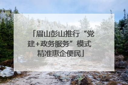 眉山彭山推行“党建+政务服务”模式 精准惠企便民