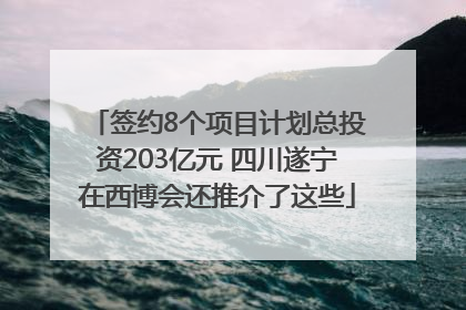 签约8个项目计划总投资203亿元 四川遂宁在西博会还推介了这些