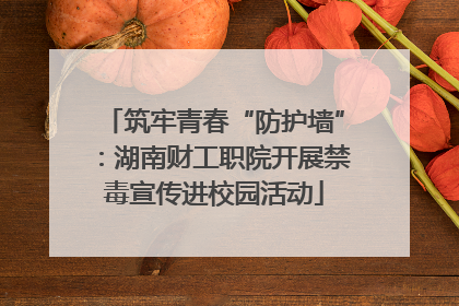 筑牢青春“防护墙”：湖南财工职院开展禁毒宣传进校园活动