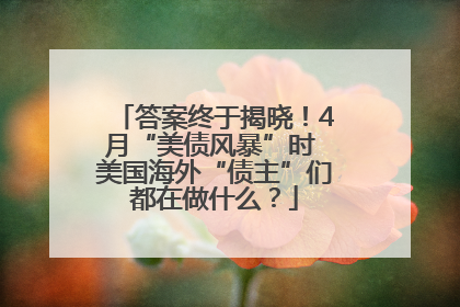 答案终于揭晓！4月“美债风暴”时 美国海外“债主”们都在做什么？